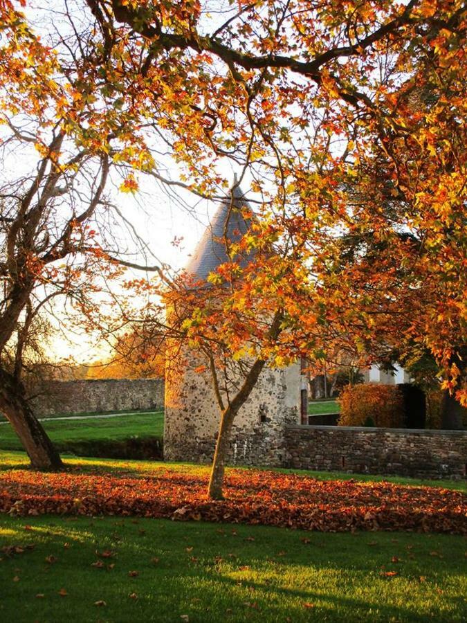 Logis De La Helberdiere Cossé-en-Champagne Exteriör bild