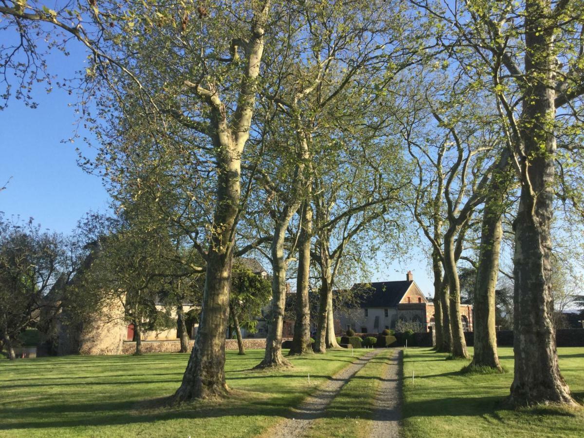 Logis De La Helberdiere Cossé-en-Champagne Exteriör bild